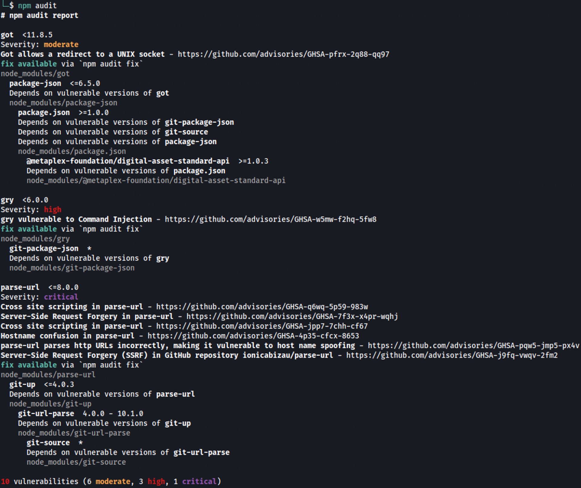 `npm audit` command output revealing vulnerable package dependencies