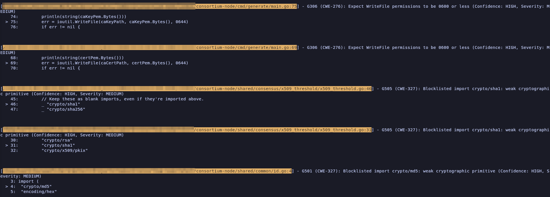 Gosec Relevant Output (4)