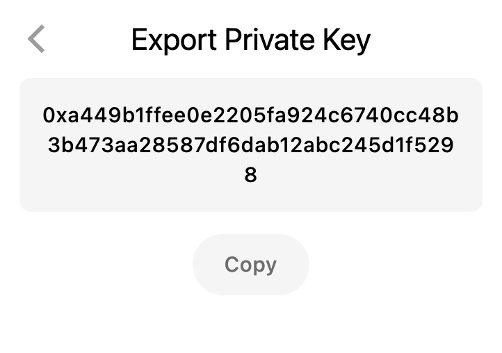 Private Key with copy functionality